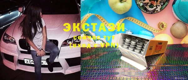 шишки Бородино