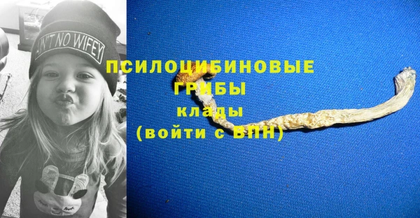 прущие крисы Бронницы