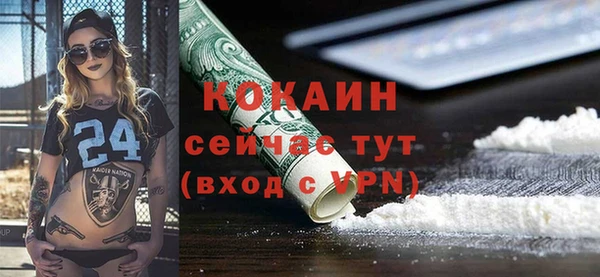 шишки Бородино