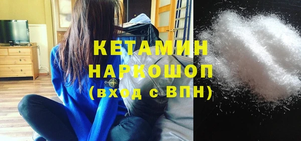 шишки Бородино