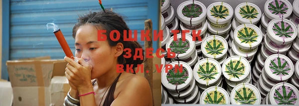mdpv Богородицк