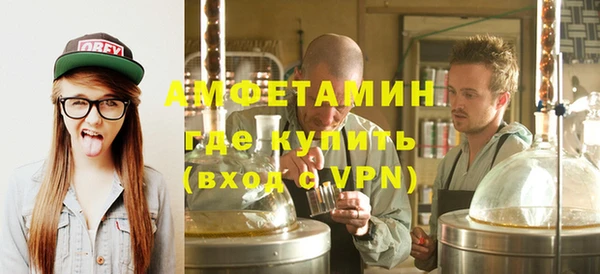 шишки Бородино