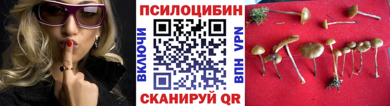 Галлюциногенные грибы прущие грибы  hydra ССЫЛКА  Ставрополь  купить наркотики цена 